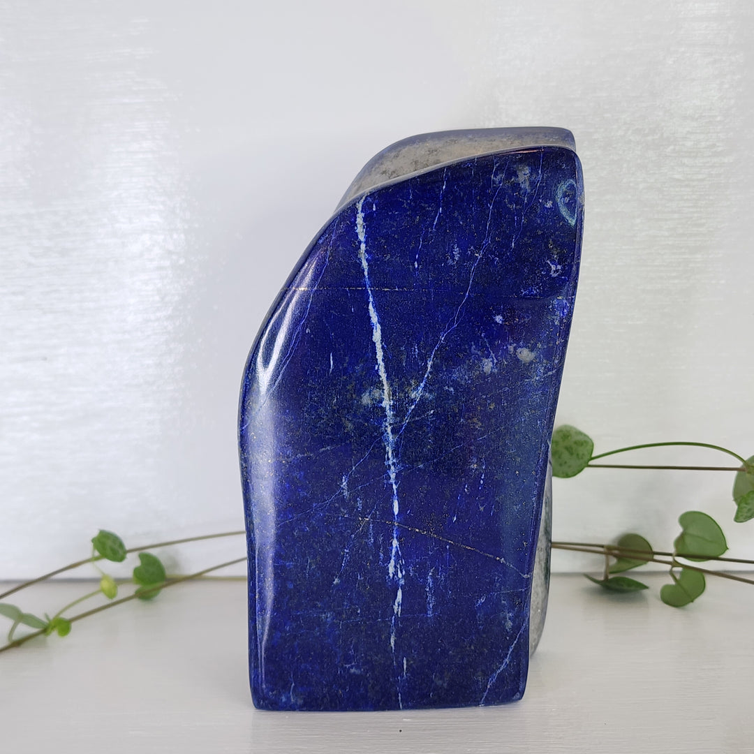 Lapis Lazuli - Free Form