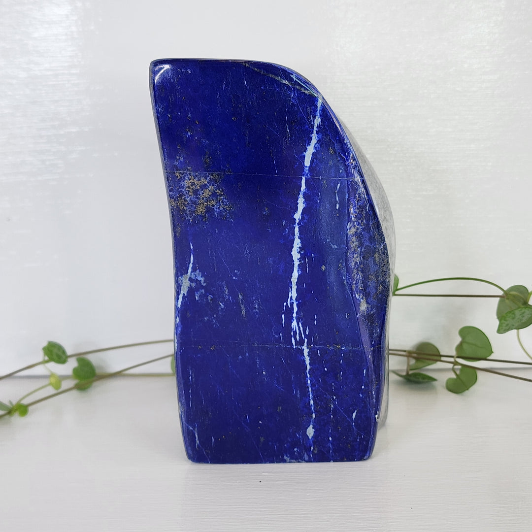 Lapis Lazuli - Free Form
