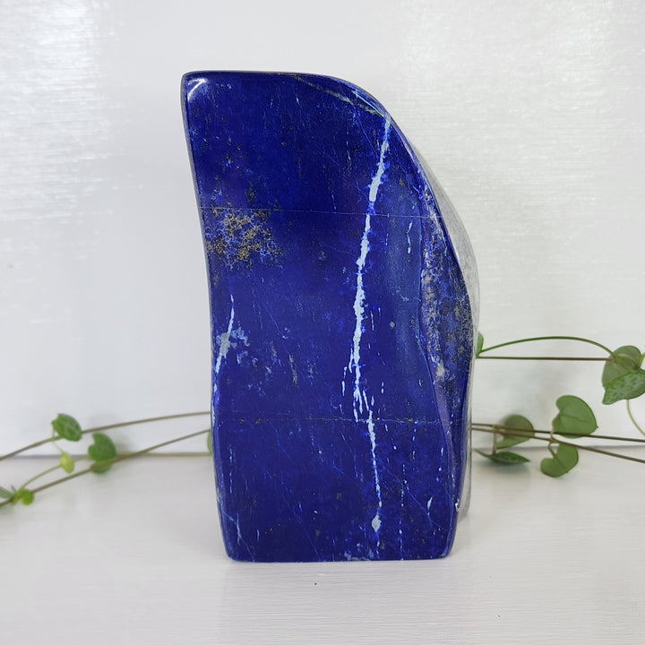 Lapis Lazuli - Free Form