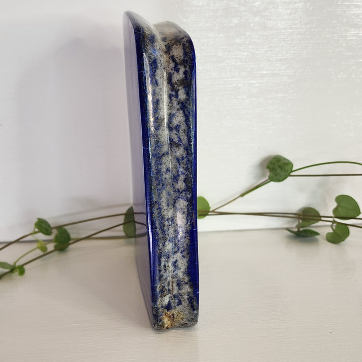 Lapis Lazuli - Free Form