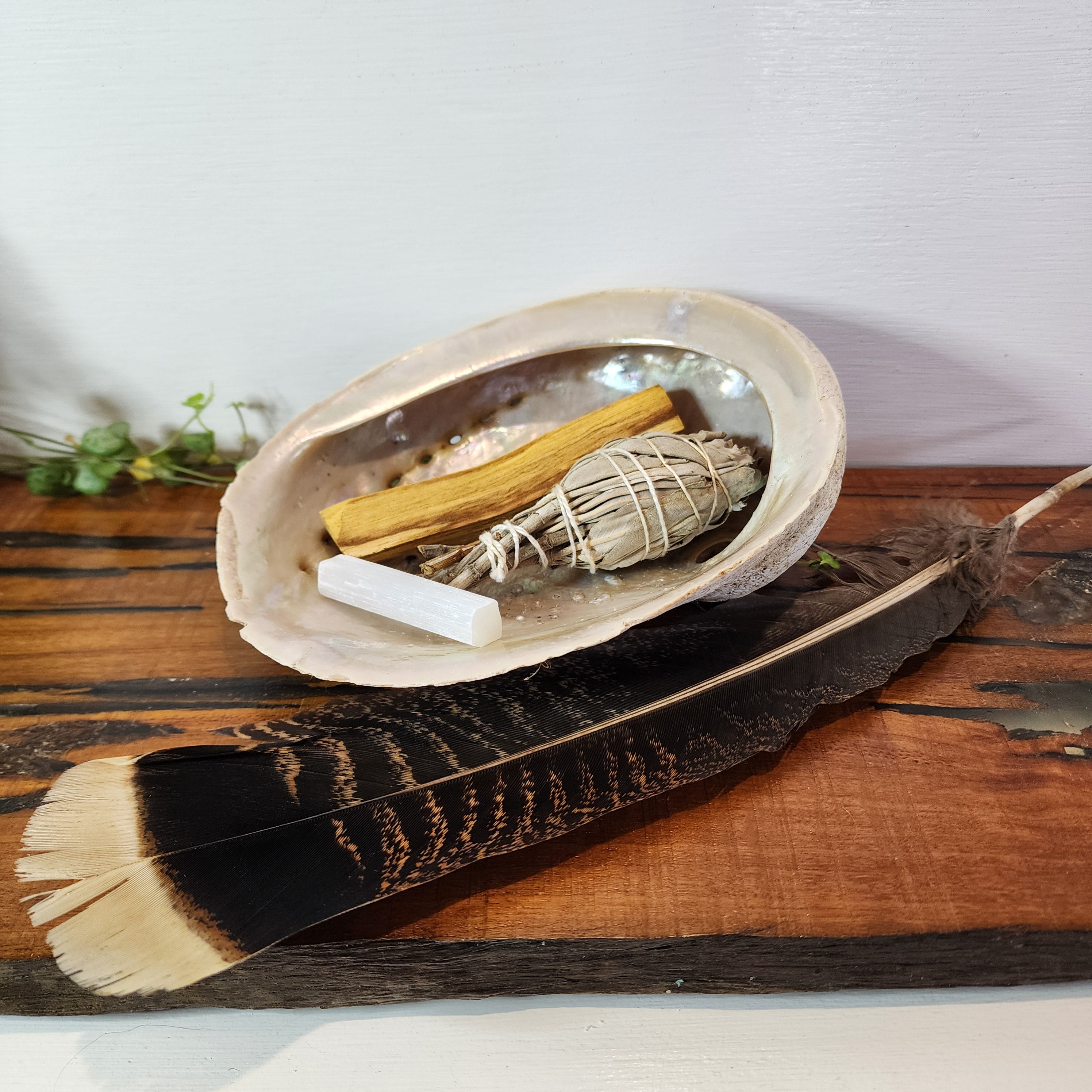 Smudging Kits – Mel'z Place