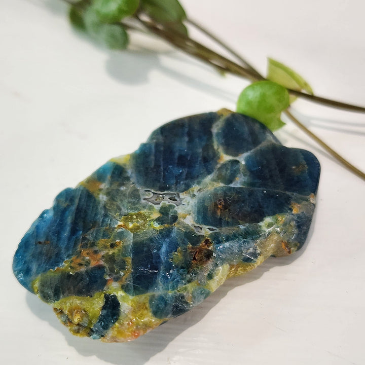 Apatite - Slab