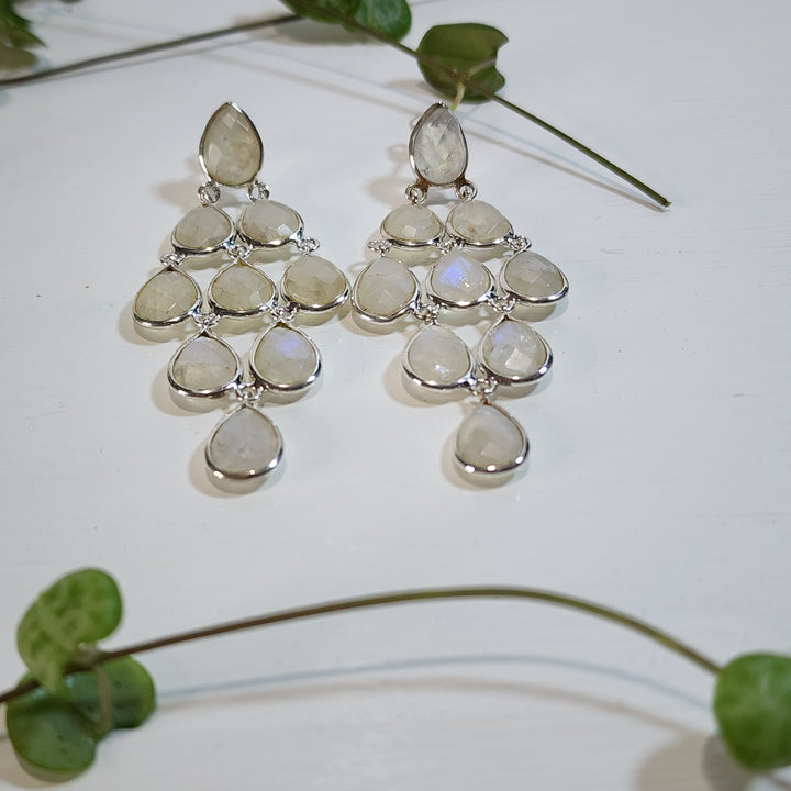 Rainbow Moonstone - Earrings