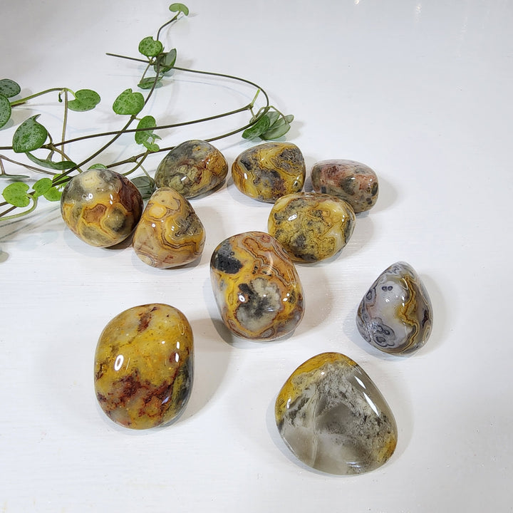 Yellow Crazy Lace Agate - Tumbled