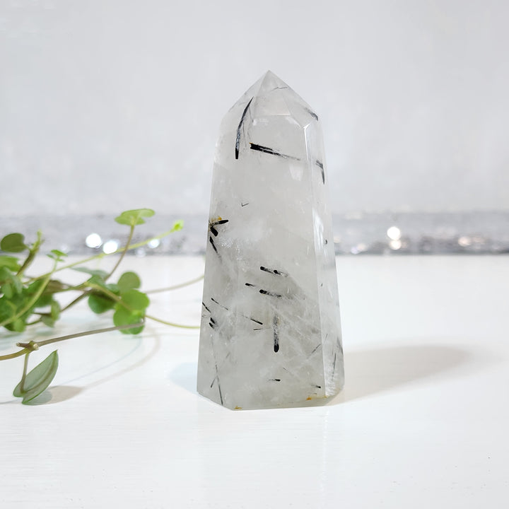 Black Tourmaline in Quartz Tower