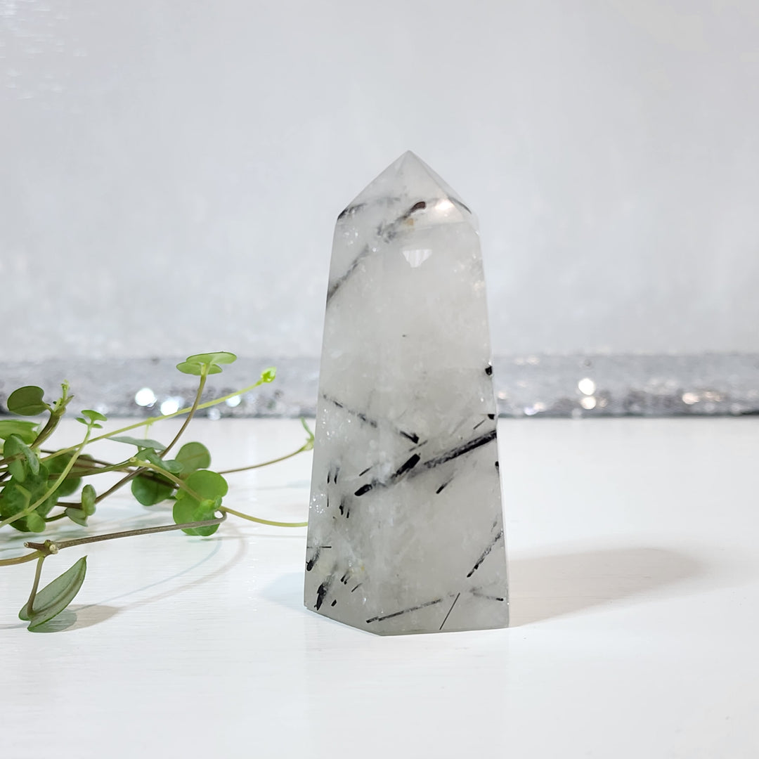 Black Tourmaline in Quartz Tower