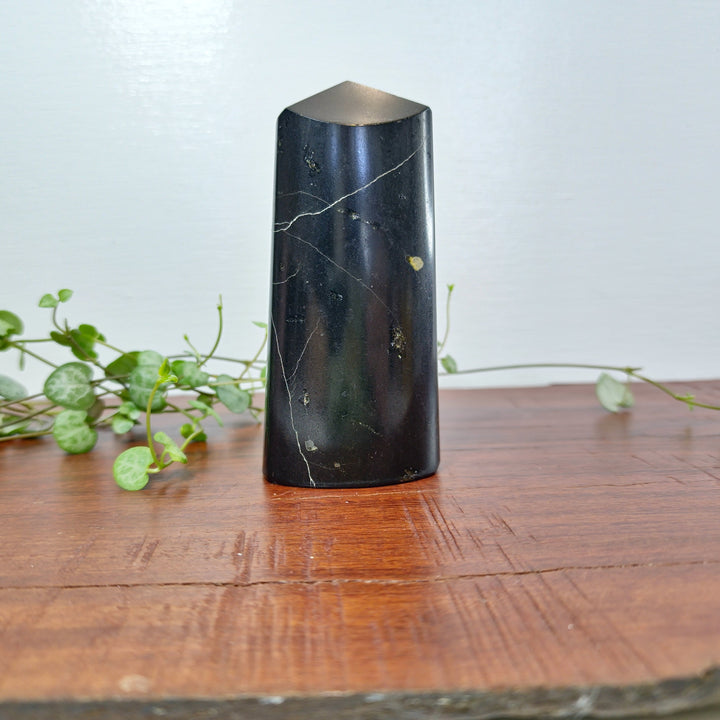 Black Tourmaline - Tower