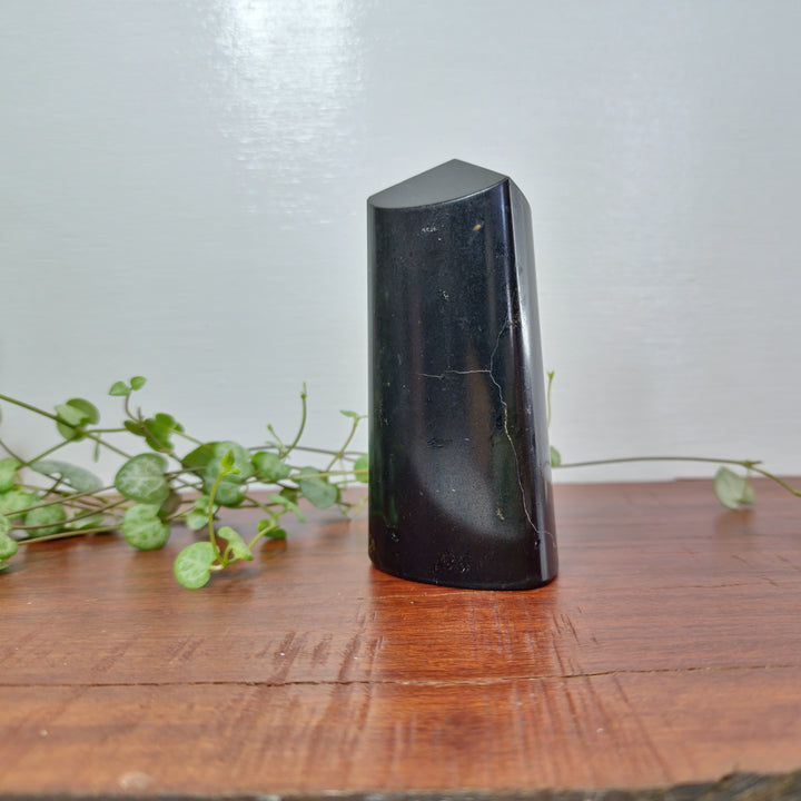 Black Tourmaline - Tower