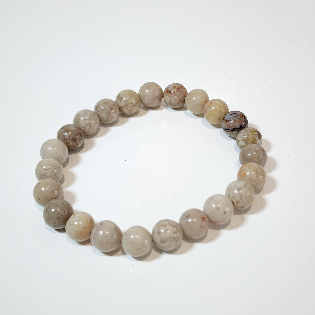 Fossil Jasper -Bracelets