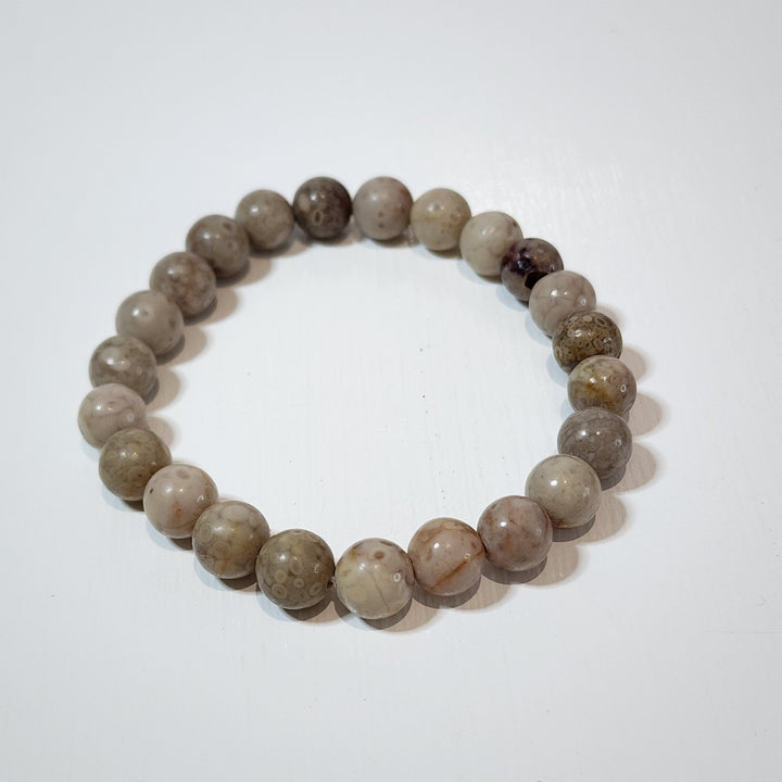 Fossil Jasper -Bracelets