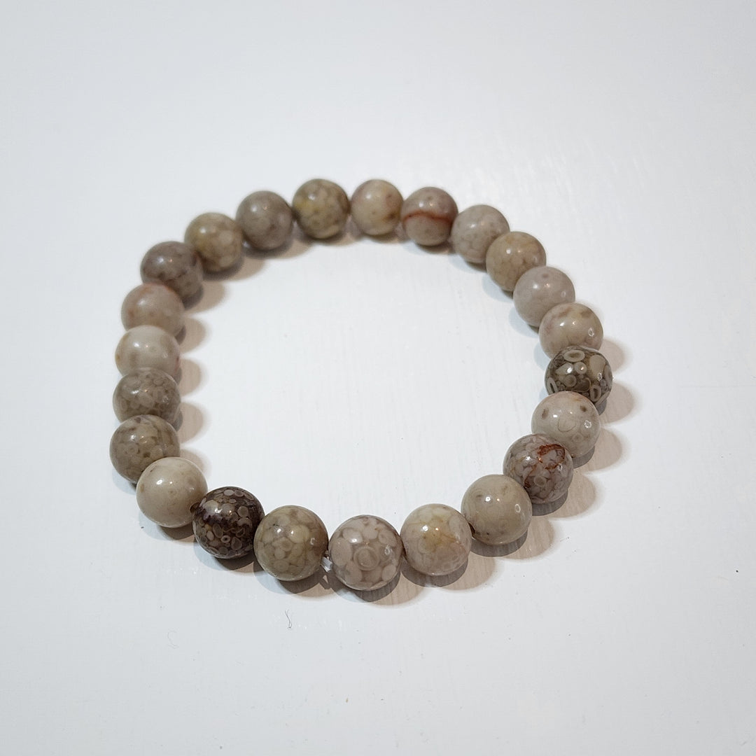 Fossil Jasper -Bracelets