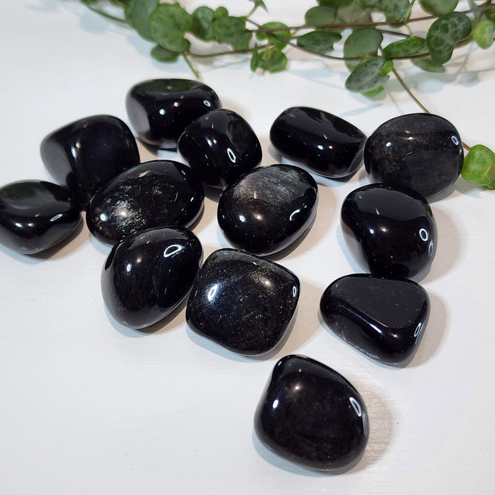 Silver Sheen Obsidian - Tumbled