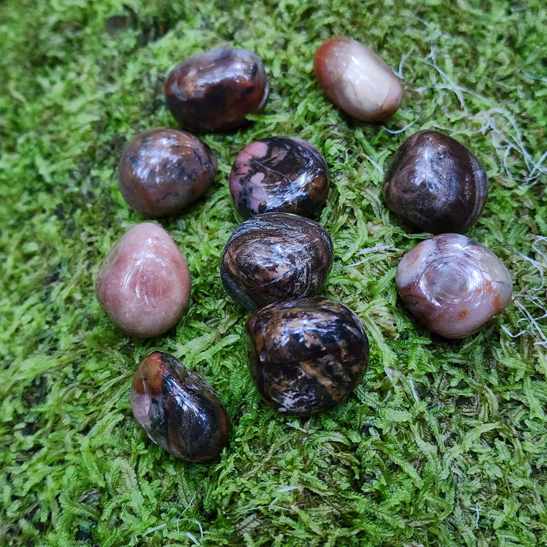 Bamboo Leaf Agate - Tumbled