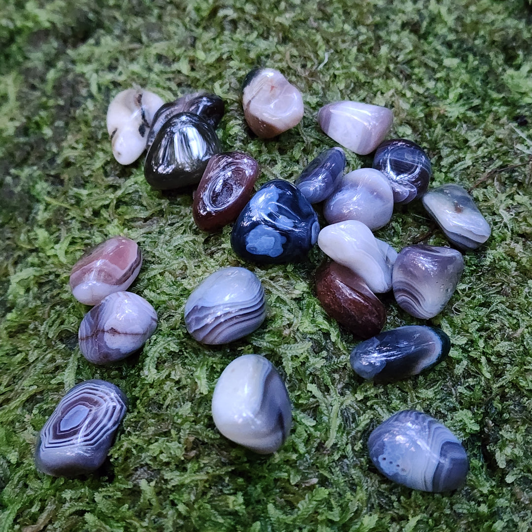 Blue Botswana Agate - Tumbled