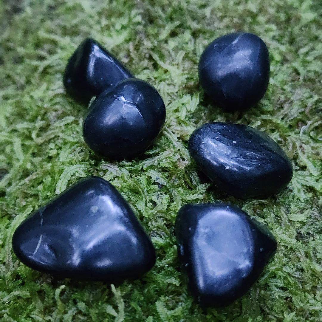 Shungite - Tumbled