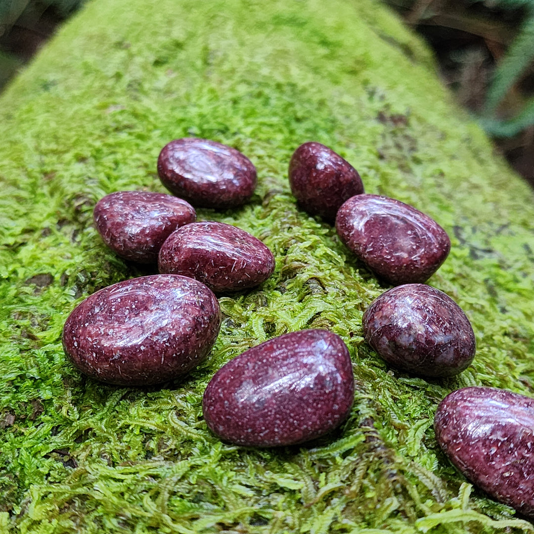 Rainbow Red Jasper - Tumbled - Mel'z Place