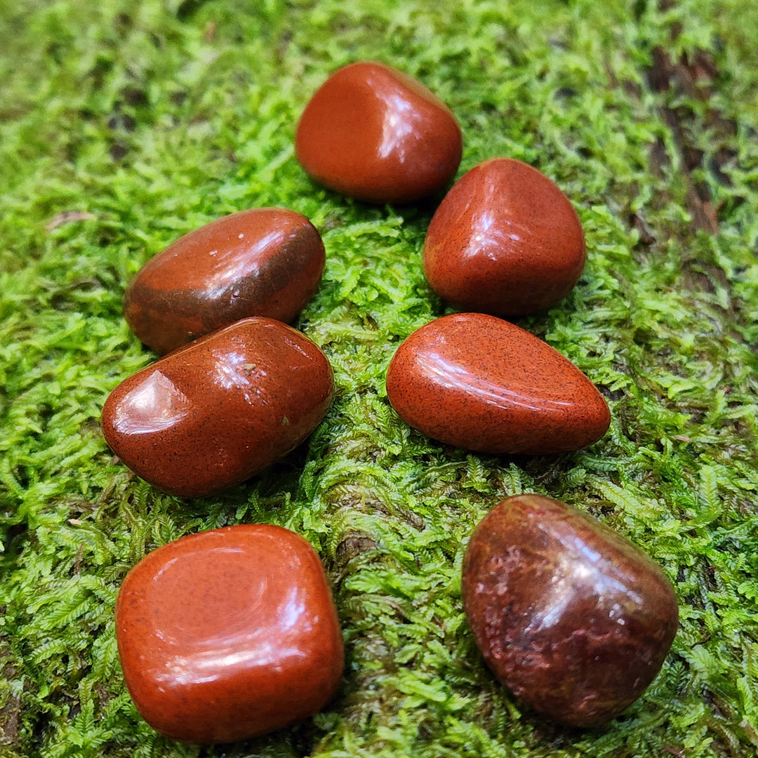 Red Jasper - Tumbled