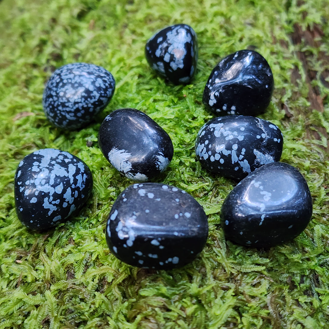 Snowflake Obsidian - Tumbled