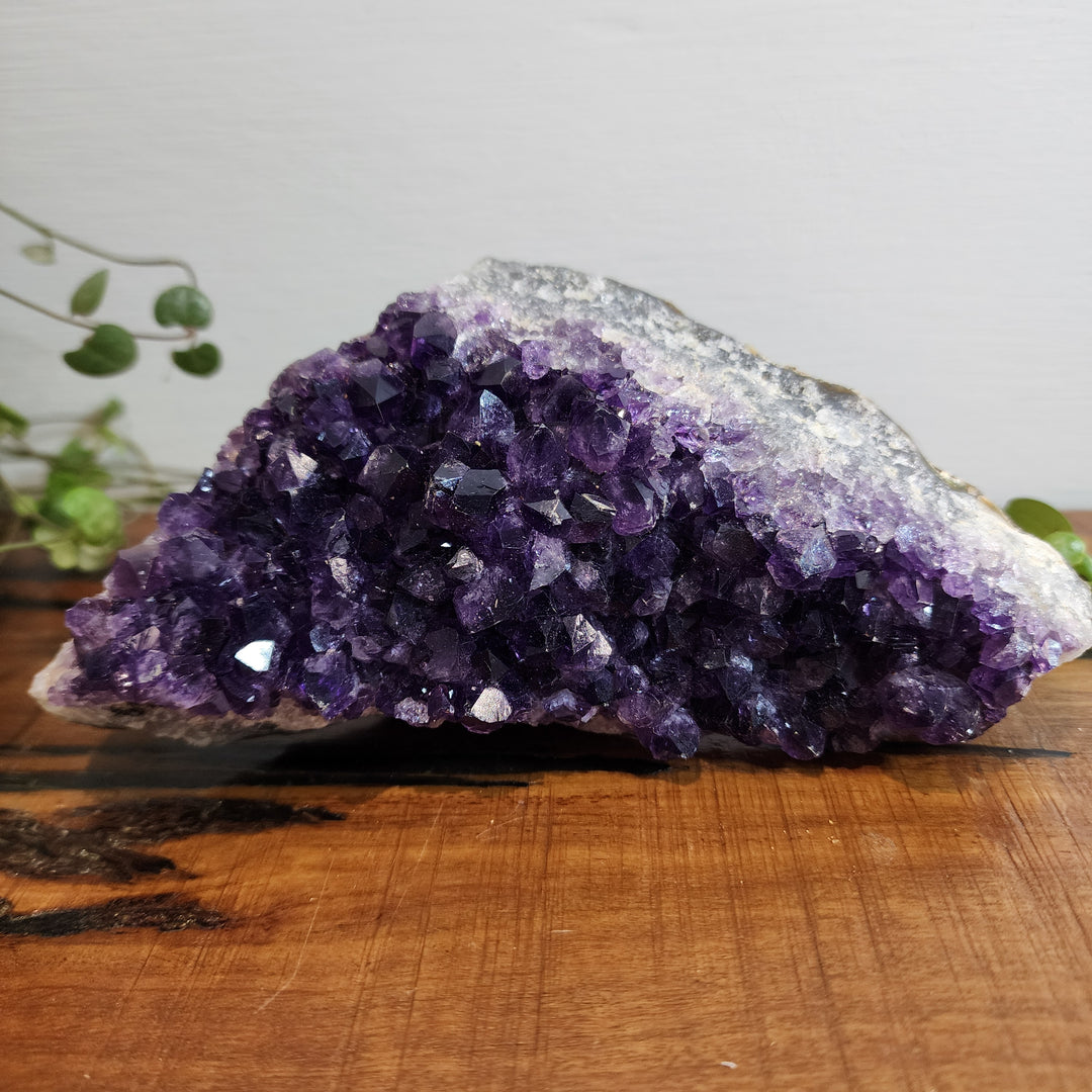 Amethyst - Cluster