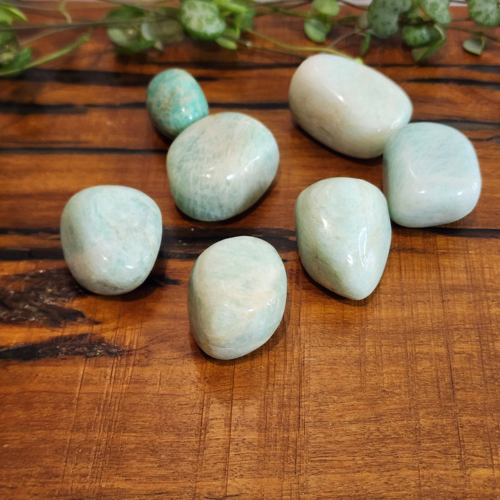 Amazonite - Tumbled