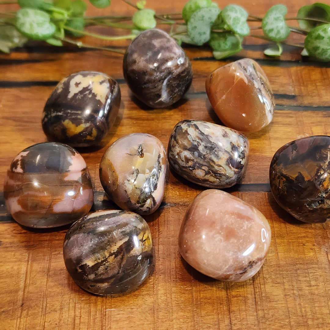 Bamboo Leaf Agate - Tumbled