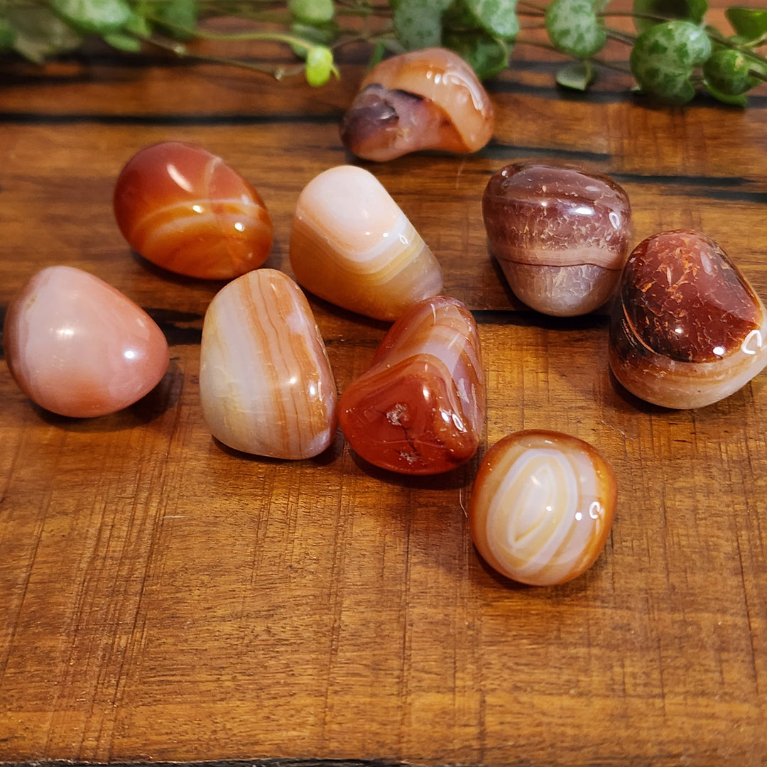 Banded Carnelian - Tumbled