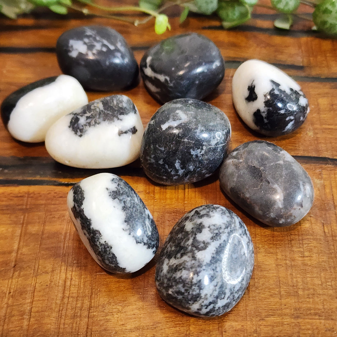 Black & White Zebra Jasper - Tumbled