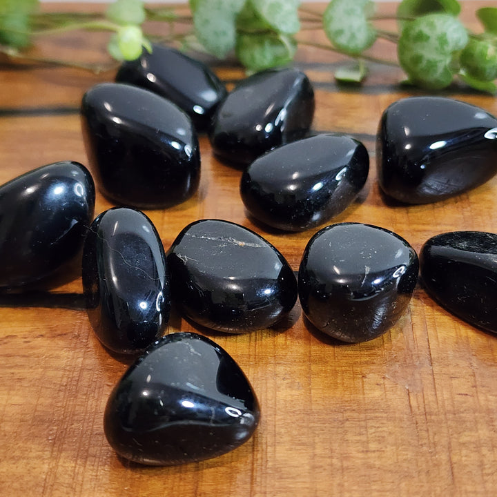 Black Obsidian - Tumbled