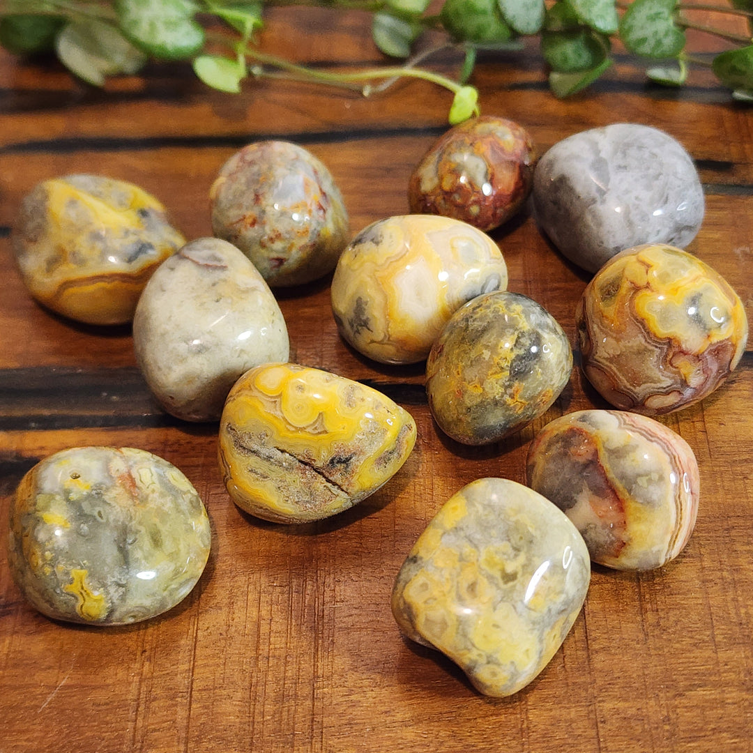 Yellow Crazy Lace Agate - Tumbled