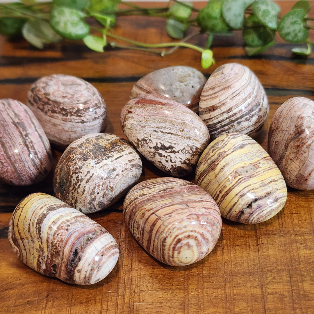 White Stripe Jasper - Tumbled - Mel'z Place