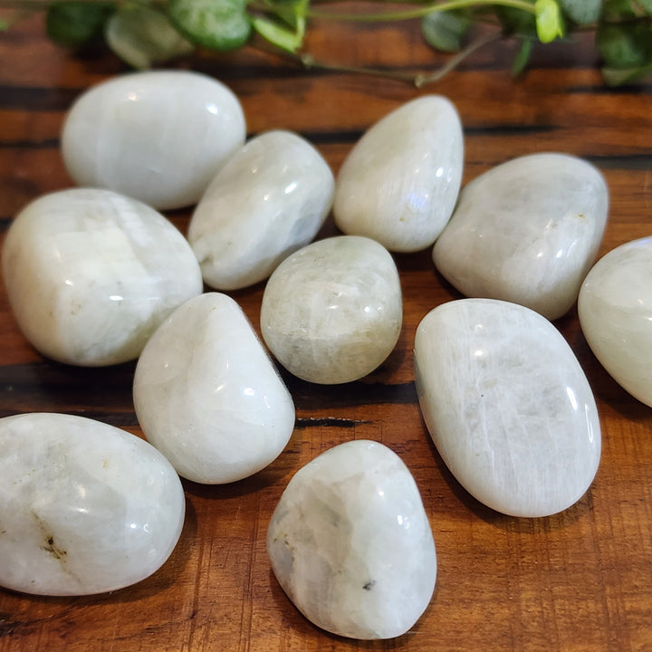 White Moonstone - Tumbled