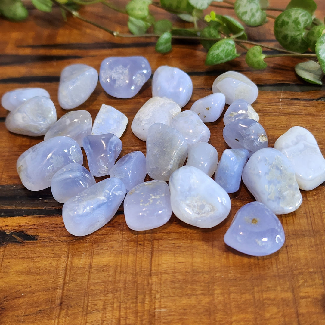 Blue Lace Agate - Chips