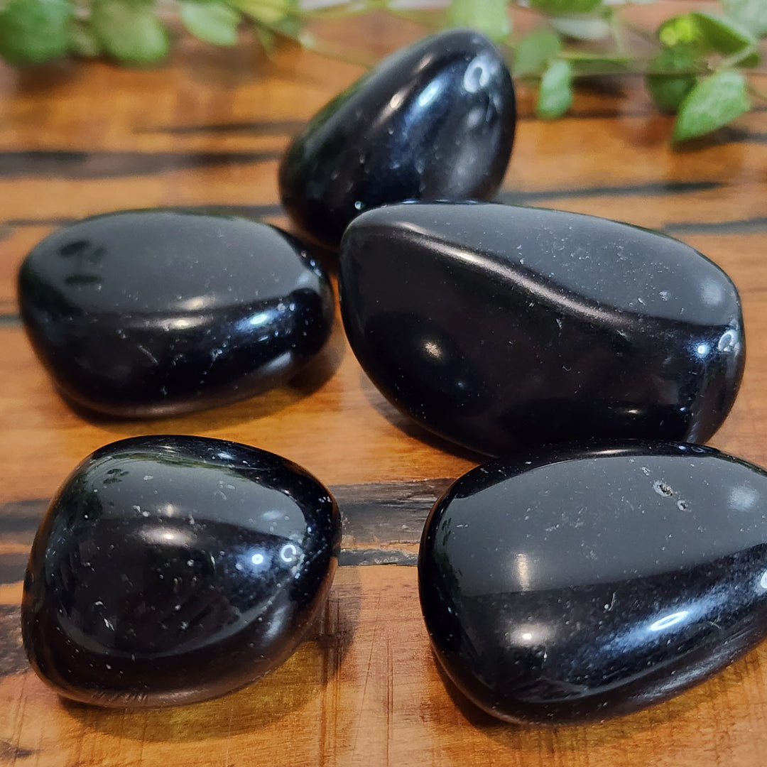 Black Obsidian - Tumbled Large