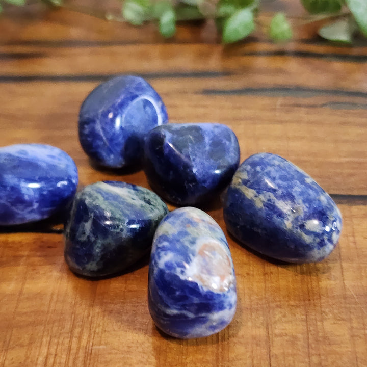 Sodalite - Tumbled