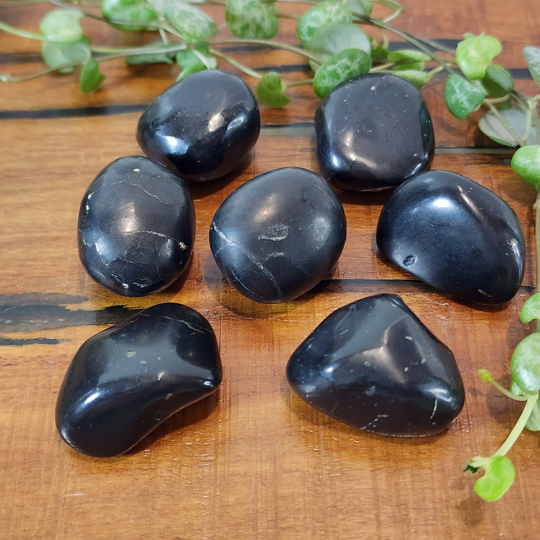 Shungite - Tumbled