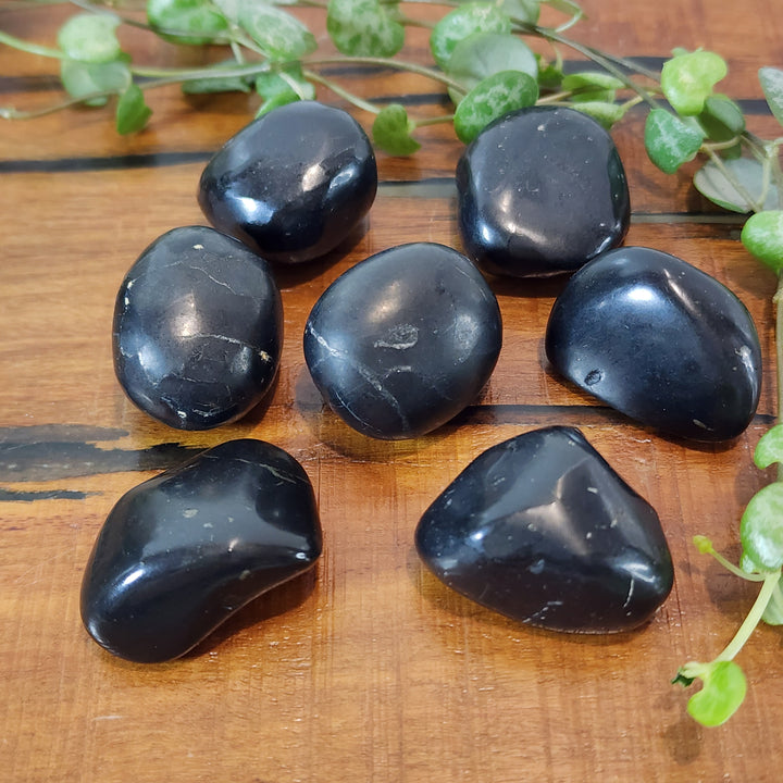 Shungite - Tumbled