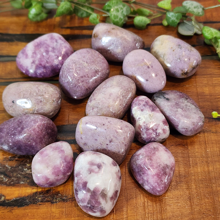 Pink Lepidolite - Tumbled