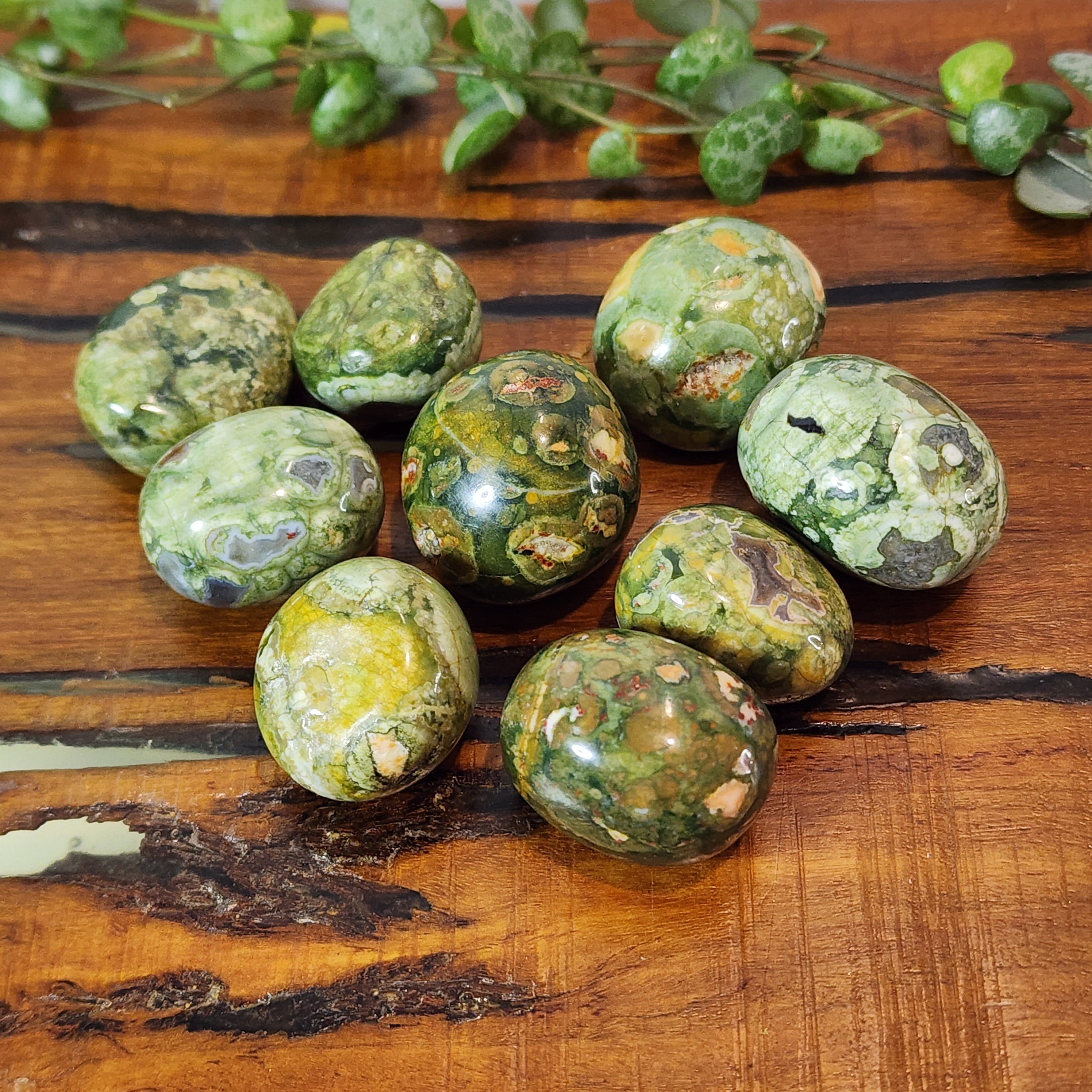 Rhyolite (Rainforest) - Tumbled – Mel'z Place