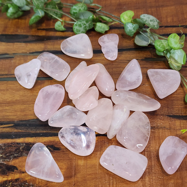 Rose Quartz - Tumbled