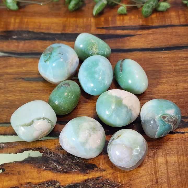 Green Flower Agate - Tumbled