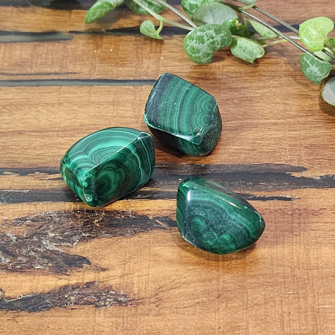 Malachite - Tumbled