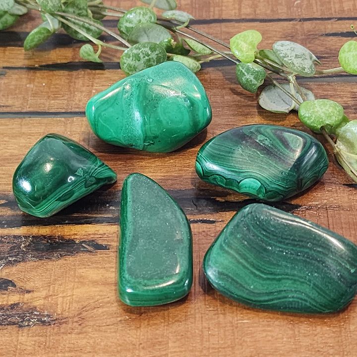 Malachite - Tumbled Large