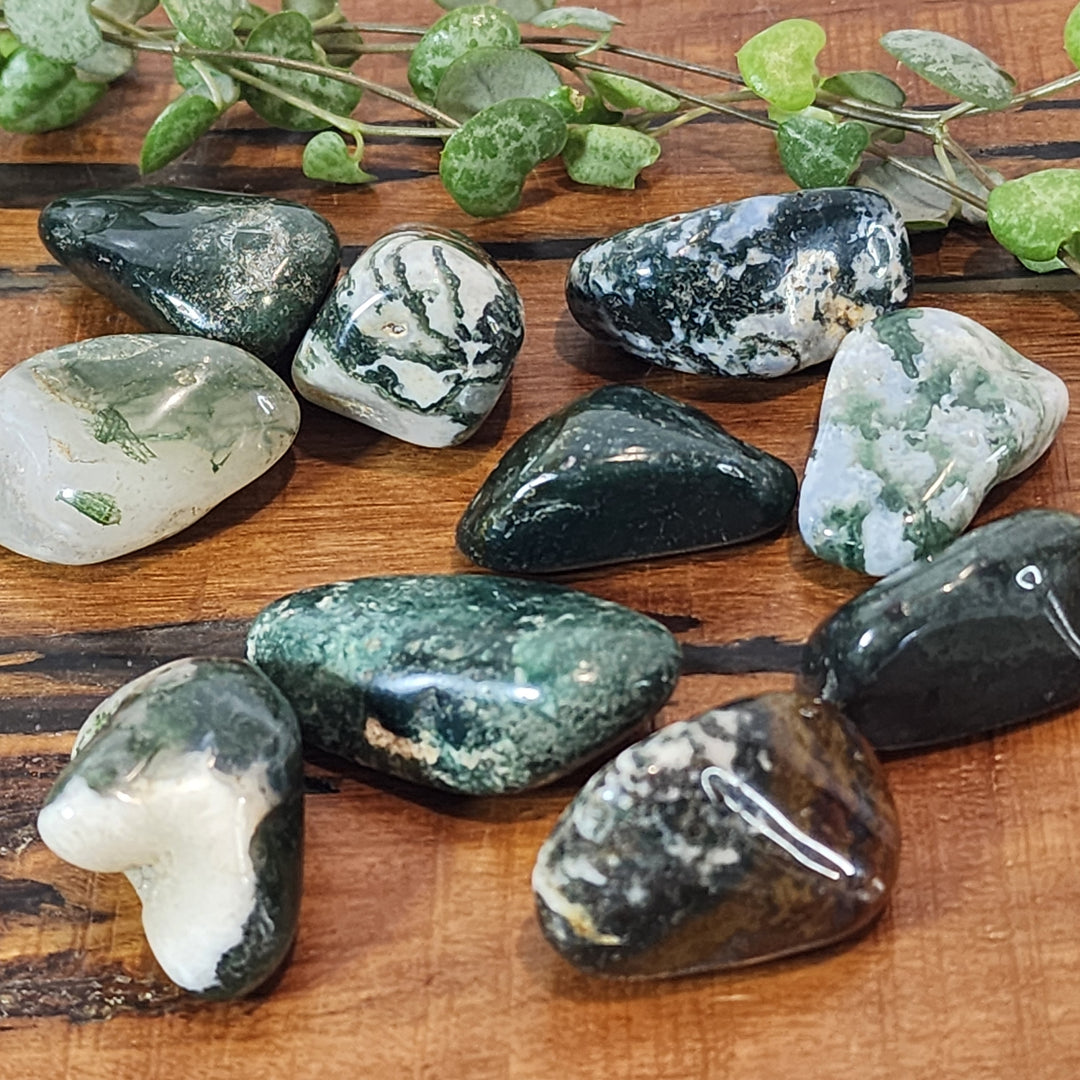 Moss Agate - Tumbled