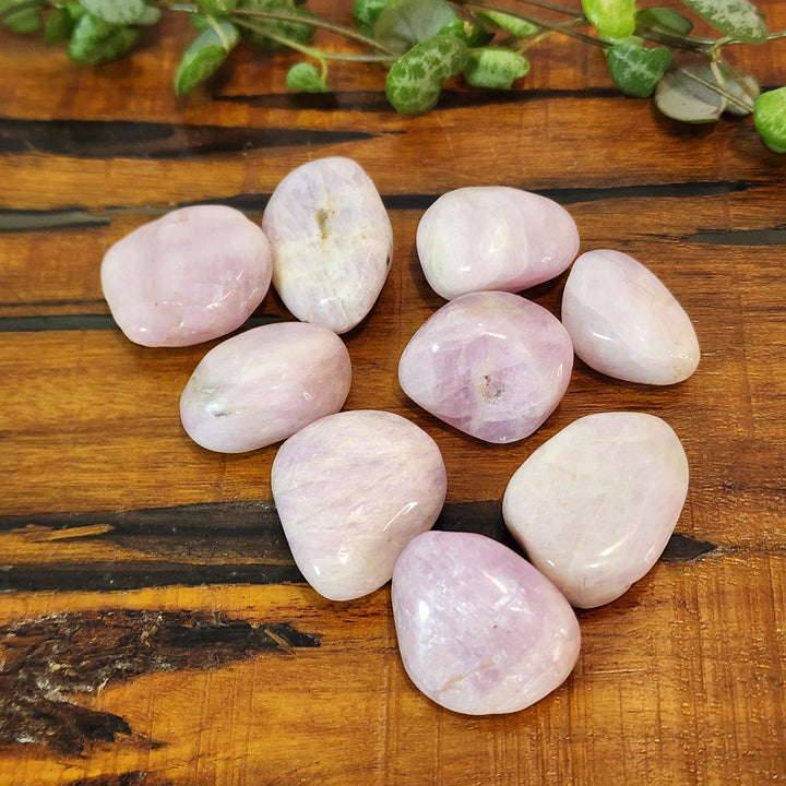 Pink Kunzite - Tumbled