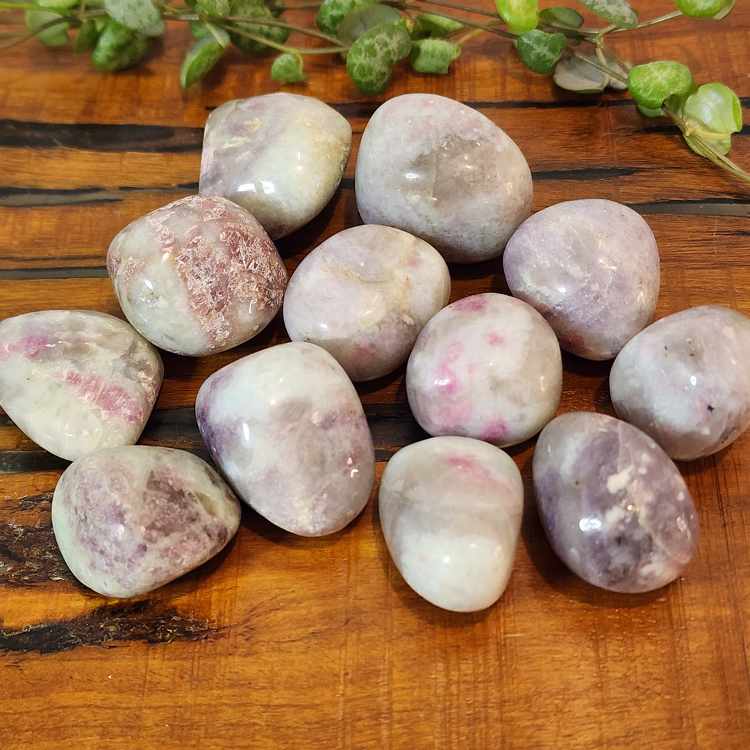 Pink Tourmaline - Tumbled