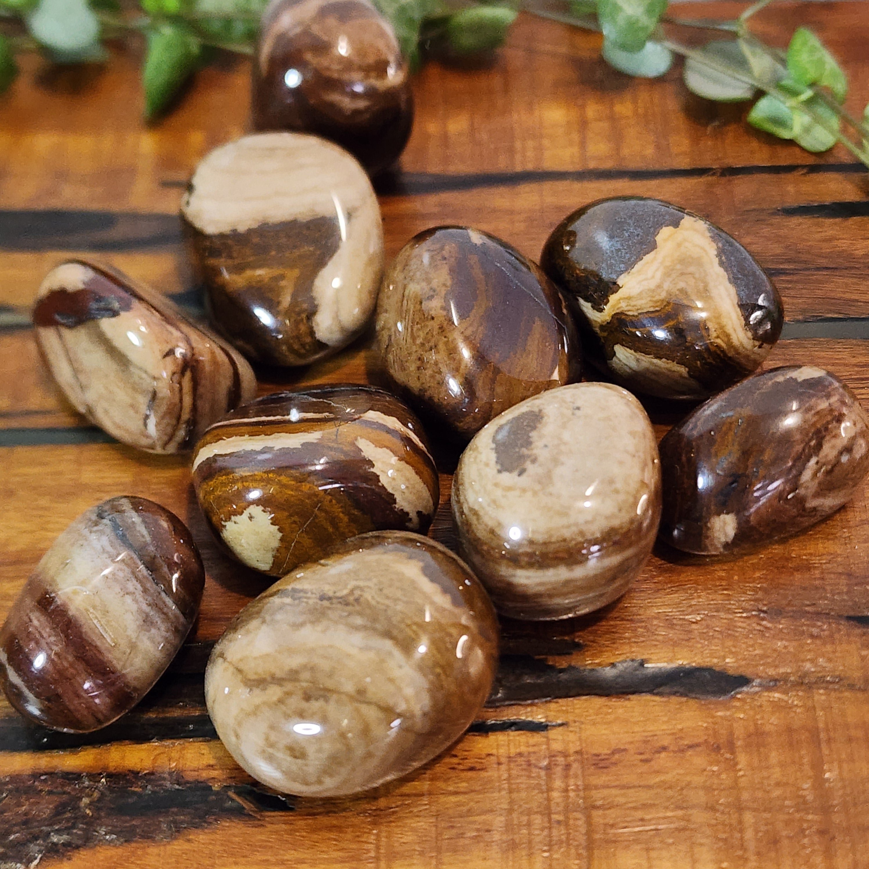 Chocolate Jasper - Tumbled – Mel'z Place