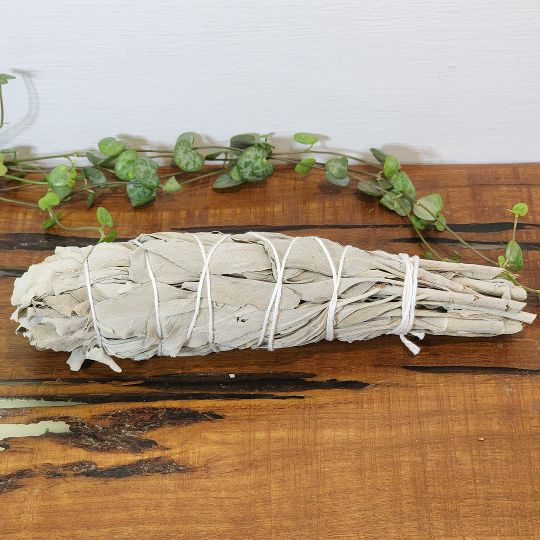 Smudge - White Sage Sticks - Meduim