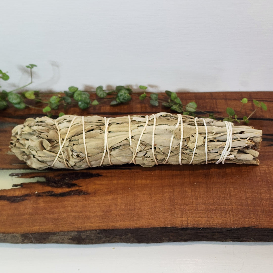 Smudge - White Sage Sticks - Large