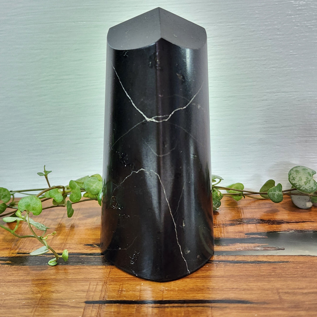 Black Tourmaline - Tower