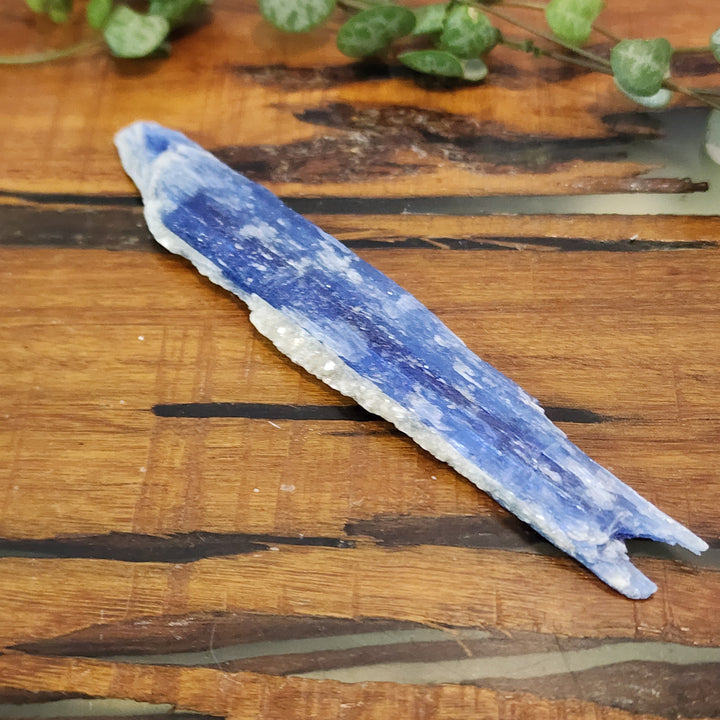 Blue Kyanite - Blade